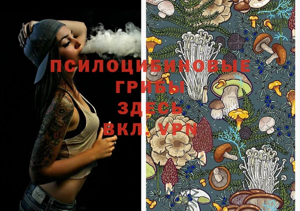 гидропоника Абинск