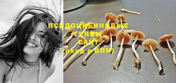 гидропоника Абинск